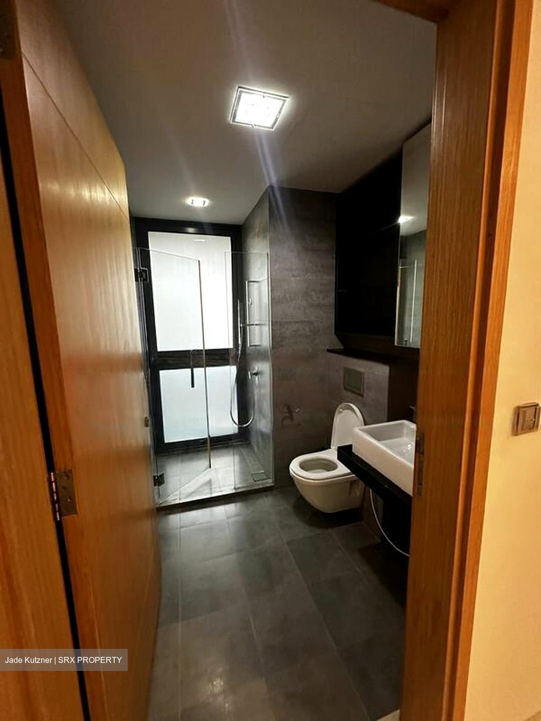 Lucida (D11), Apartment #456933631